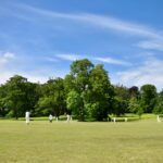 Tree within boundary ar Spye Park Cricket Ground